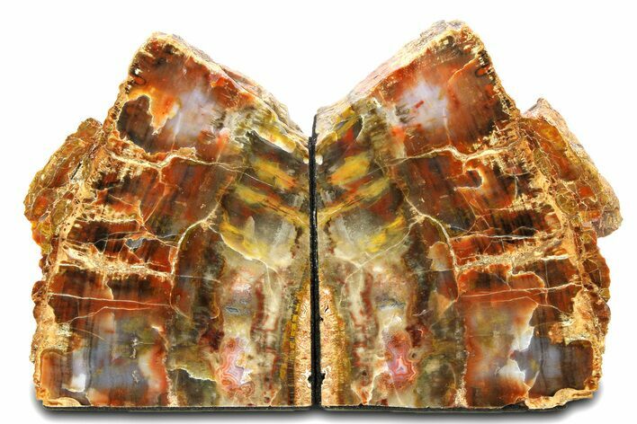 Tall, Colorful Arizona Petrified Wood Bookends #307172